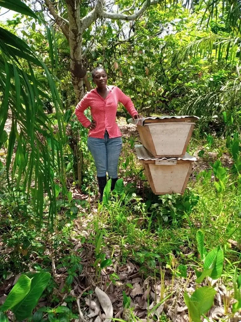 A beehive used for agricultural beekeeping