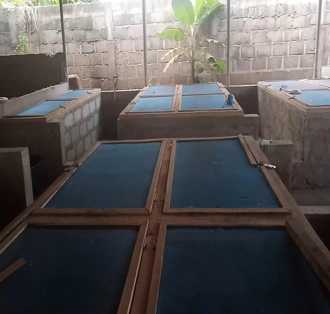 Enclosures used for agricultural snail farming